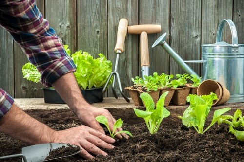 Gardener preparing a service area for a booked visit
