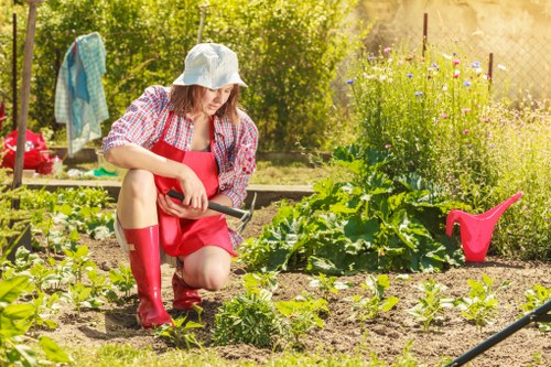 Autumn lawn care in Charing Cross