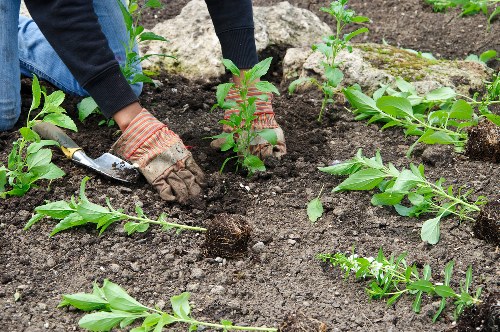 Browser settings and user control for Gardeners Charing Cross cookies