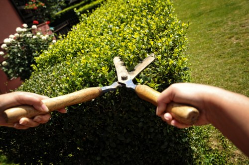 About Us Gardeners Charing Cross presenting professional local garden care