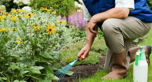 Sustainable landscape gardening in Charing Cross with year-round planting