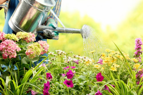 Seasonal hedge maintenance in Charing Cross
