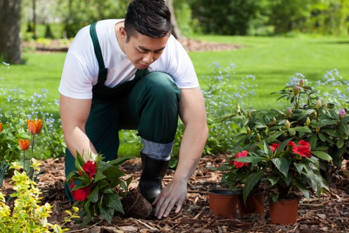 Seasonal garden maintenance in a Charing Cross residential garden