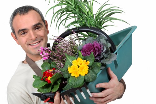 Seasonal lawn care and mowing in Charing Cross