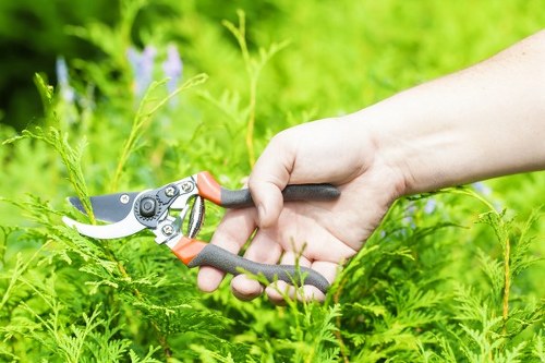 Governance and accountability for Gardeners Charing Cross