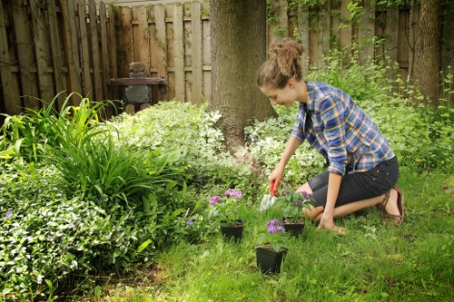 Professional garden clearance service clearing debris from a central London property