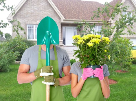 Professional garden maintenance in Charing Cross with planting and pruning