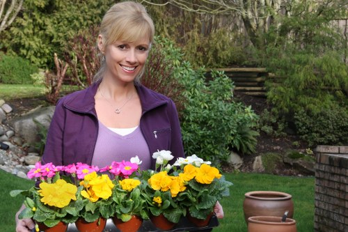 Reporting channels and worker protection in gardening services