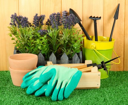 Landscape and border care from gardening services in Charing Cross