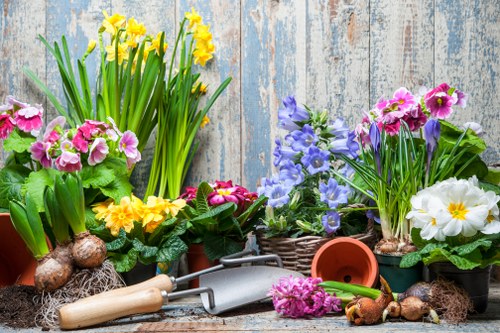 Professional lawn upkeep for Charing Cross gardens