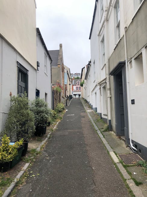A narrow, slightly inclined alleyway between two rows of terraced houses, with the left side featuring potted plants and small shrubs along the base of the white building, and the right side showing a